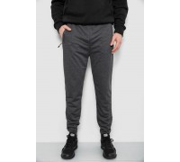 Спортивные штаны мужские, цвет серый, 244R435