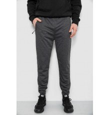 Спортивні штани чоловічі, колір сірий, 244R435