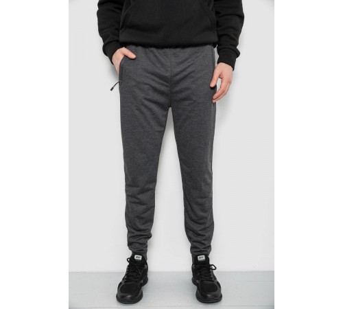 Спортивні штани чоловічі, колір сірий, 244R435