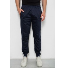 Спортивні штани чоловічі, колір темно-синій, 244R4779