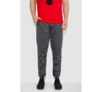 Спортивные штаны мужские, цвет темно-серый, 244R41236