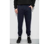 Спортивні штани чоловічі, колір синій, 244R435