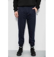 Спортивні штани чоловічі, колір синій, 244R435