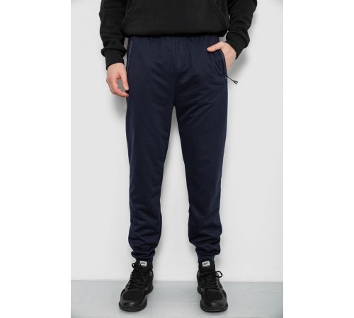 Спортивні штани чоловічі, колір синій, 244R435