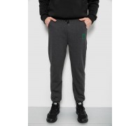 Спортивні штани чоловічі на флісі, колір грифельний, 129RA9995