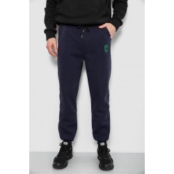 Спортивные штаны мужские на флисе, цвет синий, 129RA9995