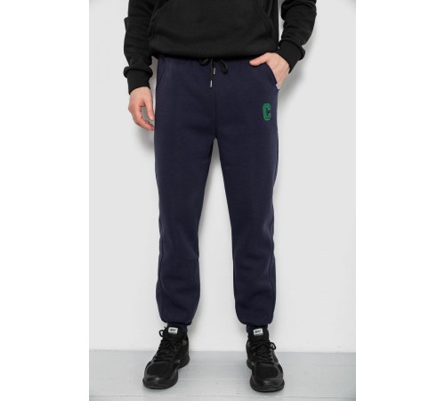 Спортивні штани чоловічі на флісі, колір синій, 129RA9995