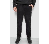 Спортивные штаны мужские однотонные на поларфлисе, цвет черный, 257R21