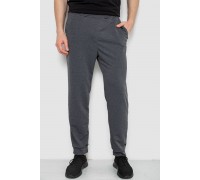 Спортивні штани чоловічі, колір сірий, 238R122