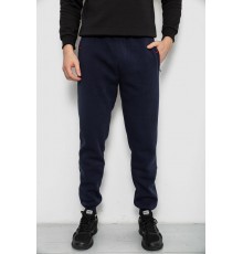 Спортивні штани чоловічі на флісі, колір синій, 244R41526