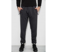 Спортивные штаны мужские на флисе, цвет серый, 244R41748