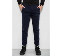 Спортивные штаны мужские на флисе, цвет синий, 244R41553