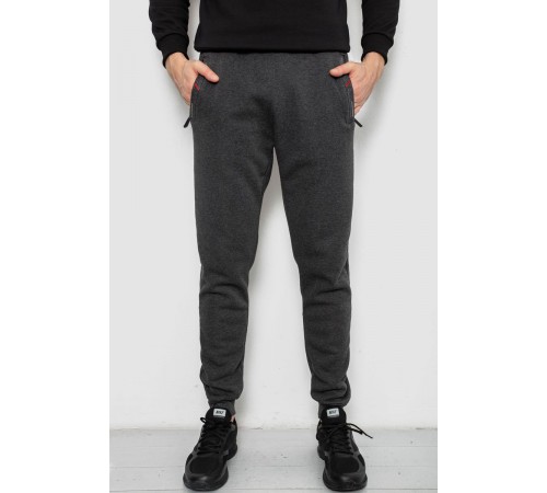 Спортивні штани чоловічі на флісі, колір сірий, 244R41558