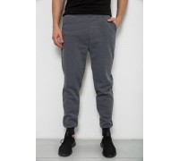 Спортивные штаны мужские на флисе, цвет серый, 238R56910-5