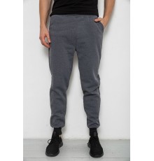 Спортивні чоловічі штани на флісі, колір сірий, 238R56910-5