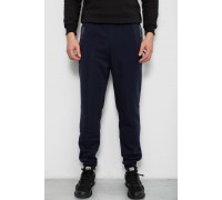 Спортивные штаны мужские на флисе, цвет синий, 244R41558