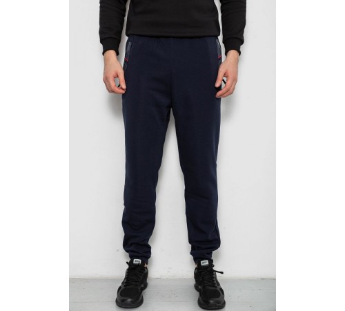 Спортивні штани чоловічі на флісі, колір синій, 244R41558