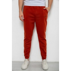 Спортивные штаны мужские на флисе, цвет терракотовый, 238R57256-1