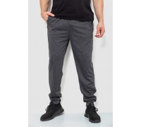 Спортивні штани чоловічі двонитка, колір темно-сірий, 244R41298