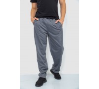 Спортивные штаны мужские, цвет серый, 244R0668