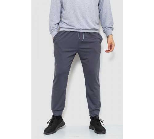Спортивные штаны мужские двухнитка, цвет серый, 241R8005