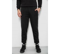 Спортивні штани чоловічі на флісі, колір чорний, 244R6120