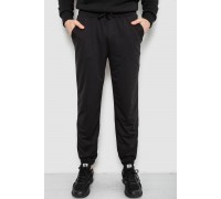 Спортивные штаны мужские двухнитка, цвет черный, 241R8003