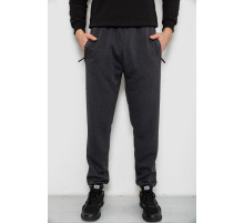 Спортивные штаны мужские на флисе, цвет серый, 244R41748