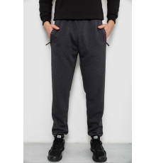 Спортивні штани чоловічі на флісі, сірий колір, 244R41748