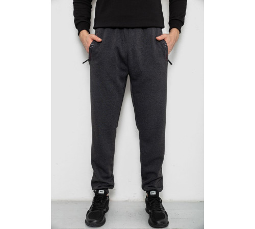 Спортивные штаны мужские на флисе, цвет серый, 244R41748