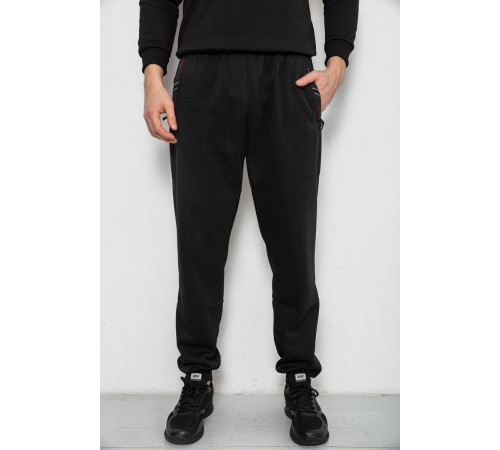 Спортивные штаны мужские на флисе, цвет черный, 244R41748