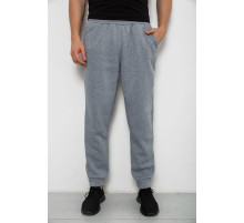 Спортивные штаны мужские на флисе, цвет серый, 238R58641