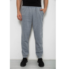 Спортивні штани чоловічі на флісі, сірий колір, 238R58641