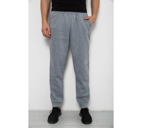 Спортивные штаны мужские на флисе, цвет серый, 238R58641