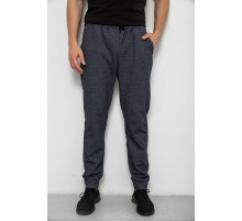 Спортивные штаны мужские на флисе, цвет серый, 238R135