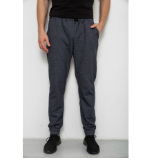 Спортивні штани чоловічі на флісі, сірий колір, 238R135