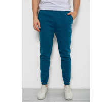 Спортивные штаны мужские на флисе, цвет изумрудный, 238R57256