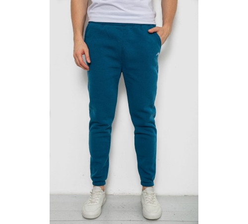 Спортивные штаны мужские на флисе, цвет изумрудный, 238R57256