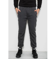 Спортивні штани на флісі, колір сірий, 244R6120