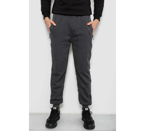 Спортивные штаны мужские на флисе, цвет серый, 244R6120
