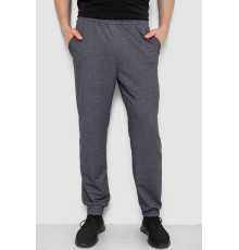 Спортивні штани чоловічі, колір темно-сірий, 238R122-1