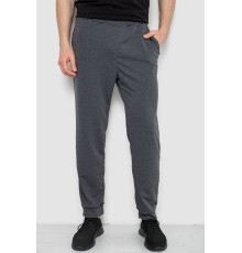 Спортивні штани чоловічі, сірий колір, 238R122