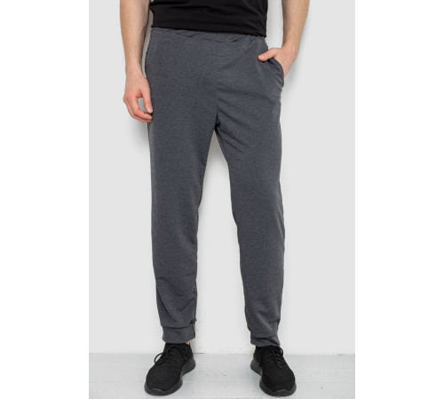 Спортивные штаны мужские, цвет серый, 238R122