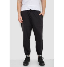 Спортивні штани демісезонні, колір чорний, 241R001-1