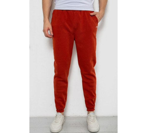 Спортивные штаны мужские на флисе, цвет терракотовый, 238R57256