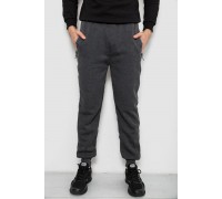 Спортивні штани чоловічі на флісі, колір сірий, 244R6120