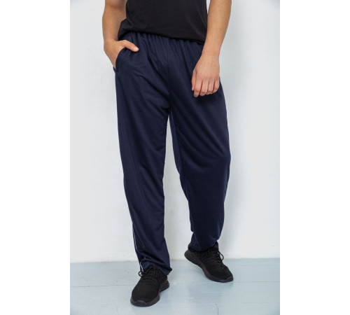 Спортивные штаны мужские, цвет темно-синий, 244R0668