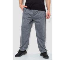 Спорт штаны мужские, цвет серый, 244R10018