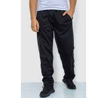 Спортивные штаны мужские, цвет черный, 244R0668