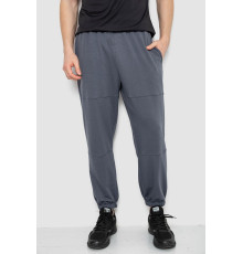 Спортивні штани демісезонні, колір сірий, 241R001-1